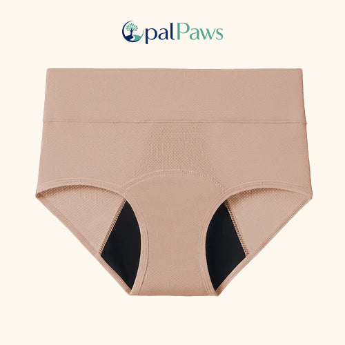 Camel-1Pc